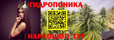 первитин Обь
