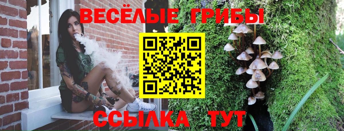 Галлюциногенные грибы Psilocybine cubensis Пугачёв